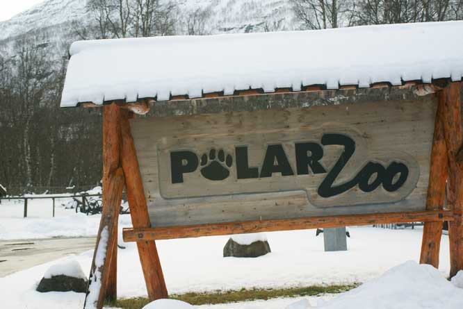 Polar Zoo