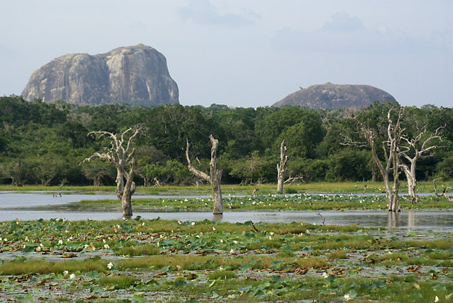 Elephant Rock in Yala National Park