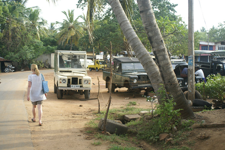 Yala Safari 4x4 Tour Tip