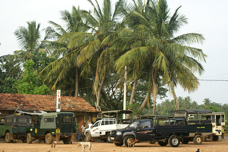 Yala Safari 4x4 Tour Tip