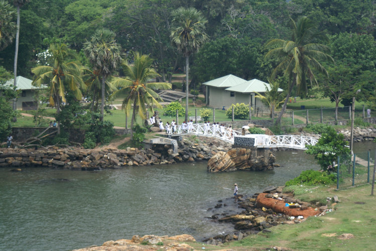 Butterfly Bridge