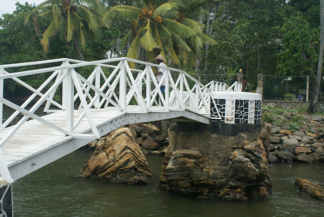 Butterfly Bridge