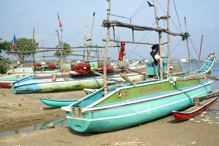 oruwa catamaran fishing boat