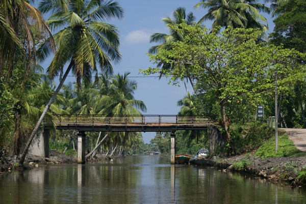 Muthurajawela Marsh Nature reserve