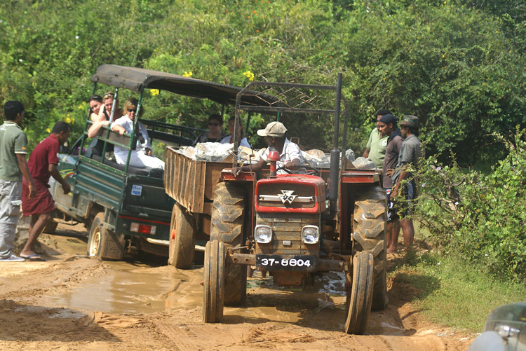 Yala Safari 4x4 Tour Tip