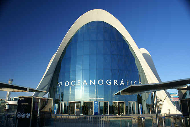 Valencia Aquarium 