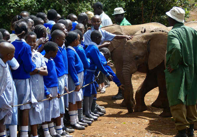 School visit to the Elephants