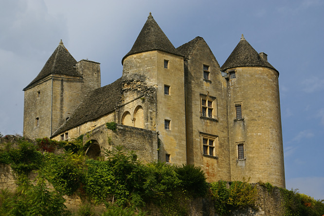 Salignac-Eyvigues chateau 