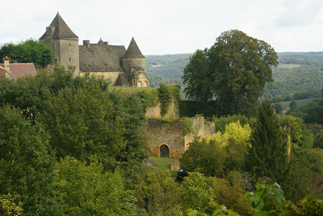 Salignac-Eyvigues castle