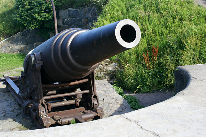 cannon 