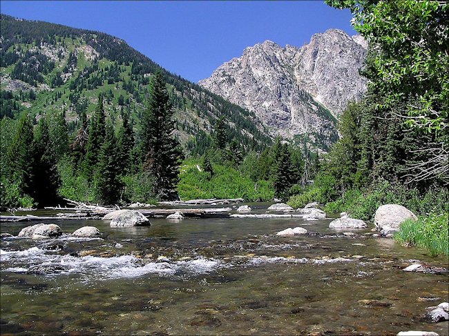 fly-fishing rivers in Grand Teton National Park
