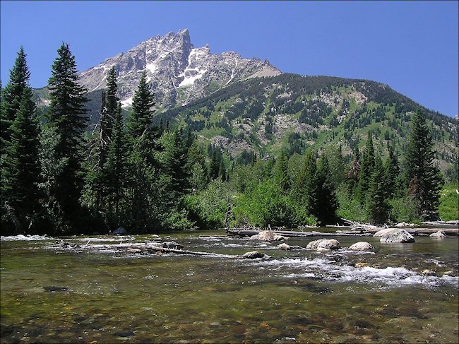 fly fishing rivers in Grand Teton National Park