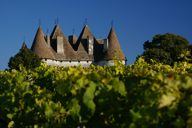 Chateau de Monbazillac wines
