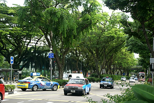 Beach Road in the Arab Quarter Singapore 