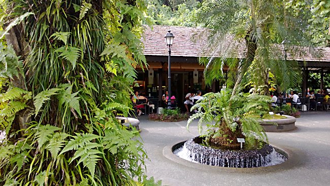 Singapore's Botanical Gardens