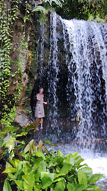 Singapore's Botanical Gardens