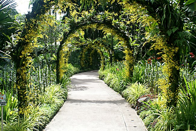 Singapore's Botanical Gardens