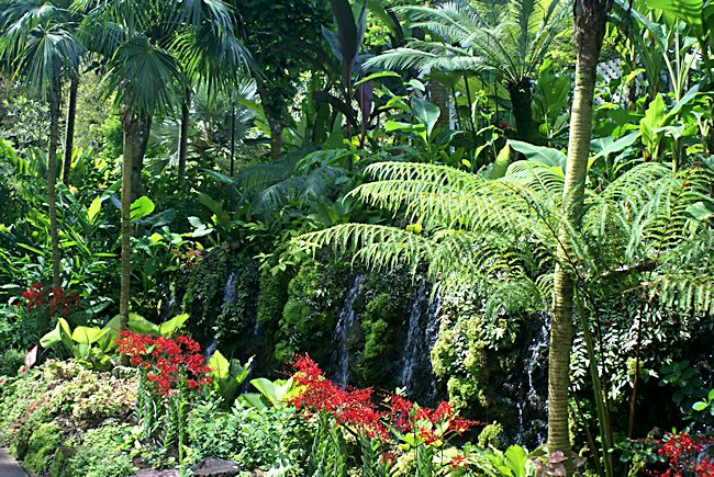 Botanical Gardens Singapore