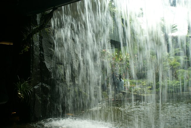 Cloud Forest Dome Waterfalls in Singapore