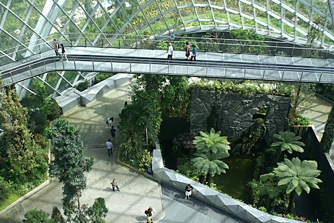 The foothills of Cloud Forest dome