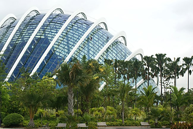 cloud forest greenhouse
