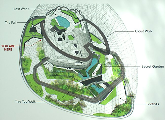 Dome map of the cloud forest