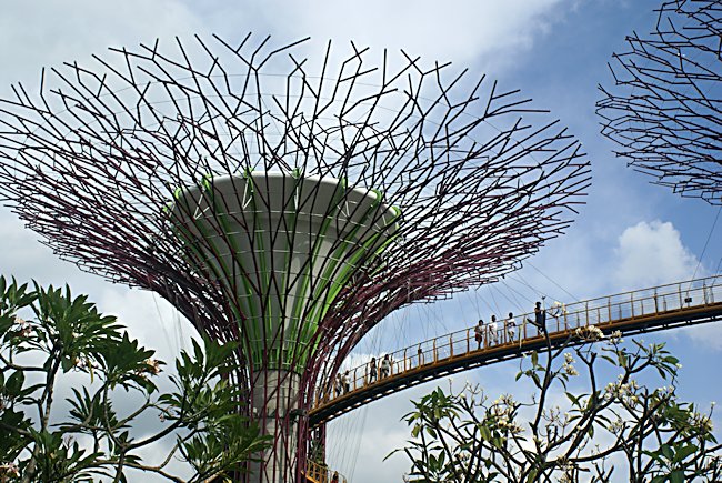 Supertree grove Skywalk