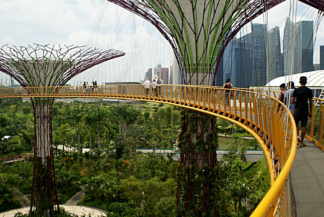 Supertree grove Skywalk