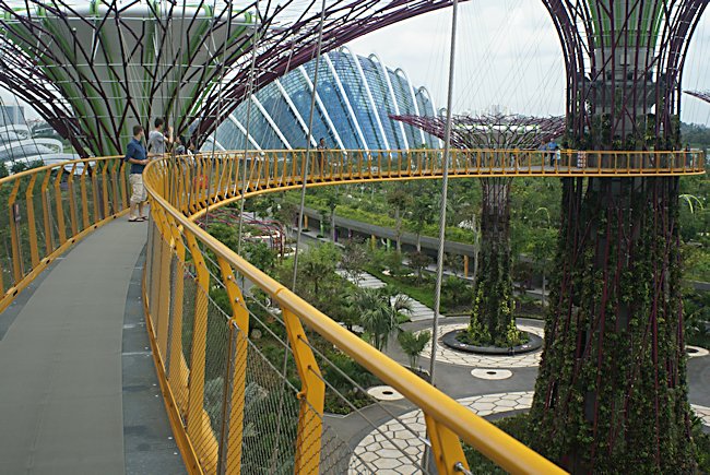 Supertree grove Skywalk