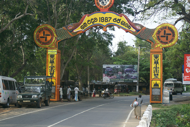 Yala Safari 4x4 Tour Tip