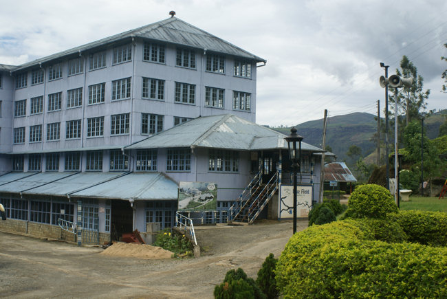 Blue Field Tea Estate Factory Tour