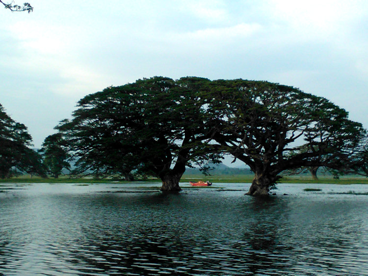 Tissamaharama Lake