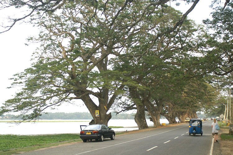 Tissamaharama Lake