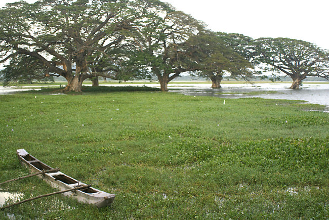 Tissamaharama Lake