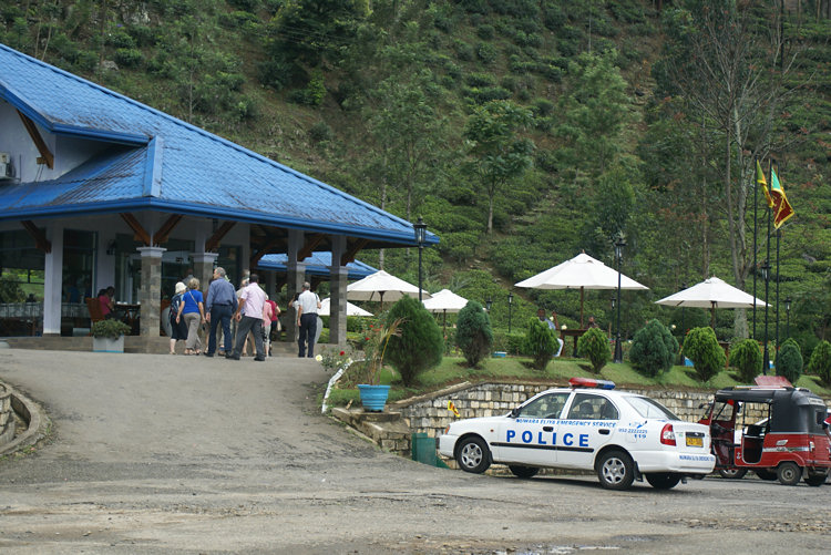 Blue Field Tea Estate Factory Tour