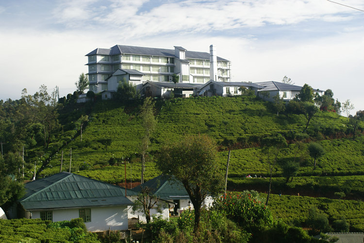 Imageresult for Tea Factory & Tea Plantations ,Nuwara Eliya,