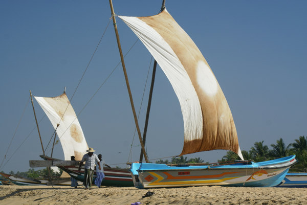 Negombo beach boats