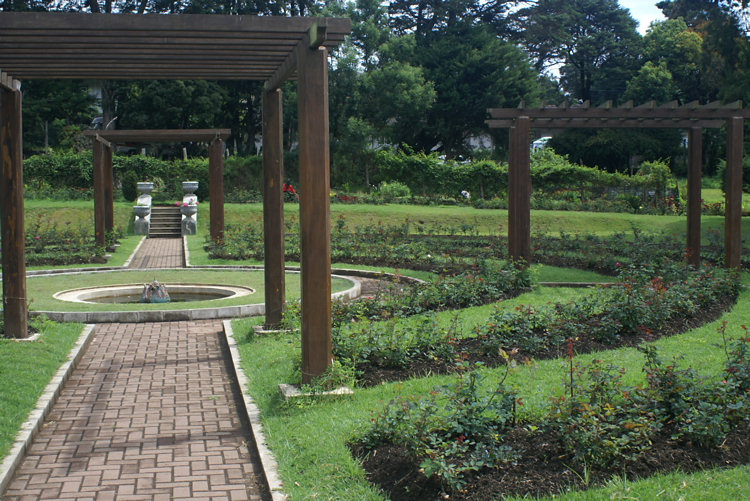 Victoria Park Rose Garden