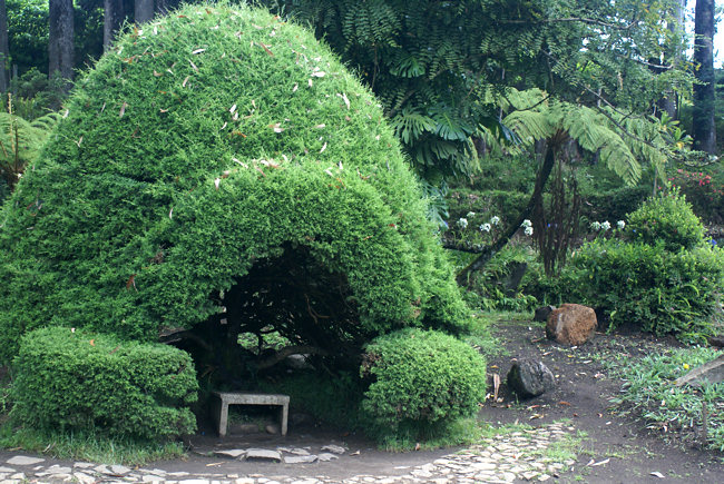 Victoria Park Garden Topery