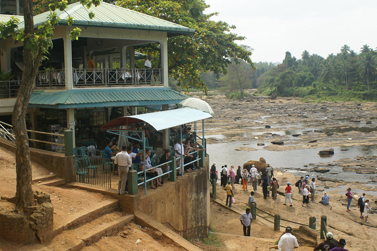 Pinnewala Elephant Orphanage