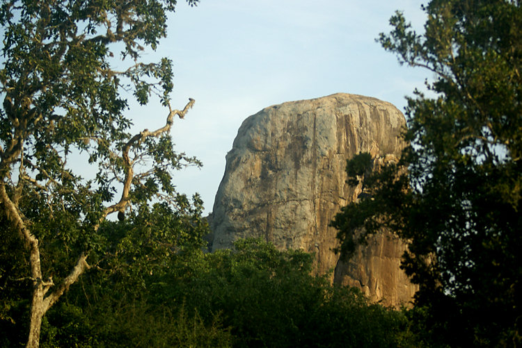 Yala National Park