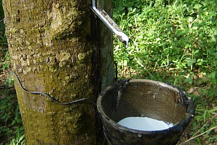 india rubber