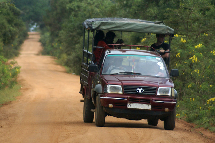 Safari Tour Scams in Sri Lanka