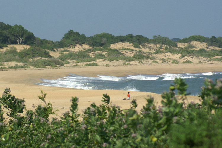 Yala National Park