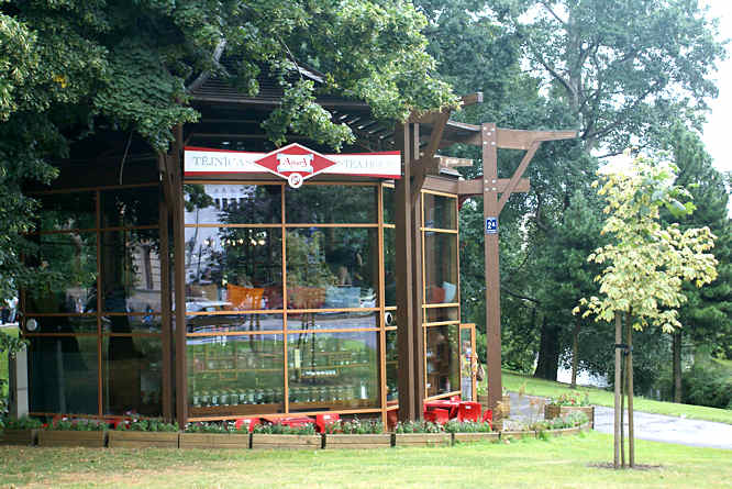 hexagonal tea room in Riga