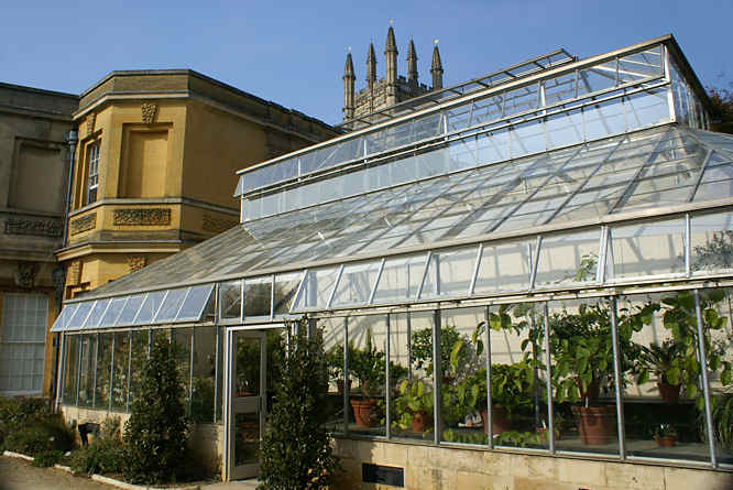 Botanical Gardens of Oxford
