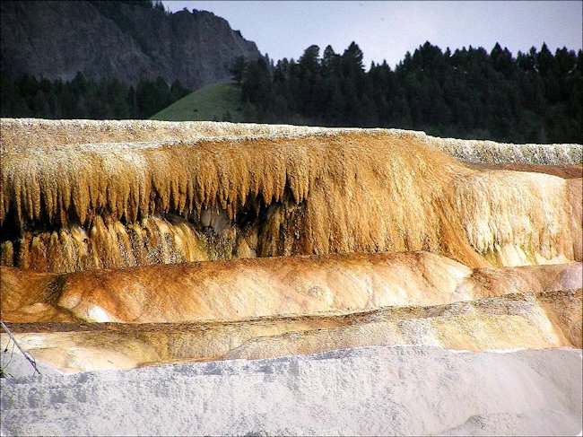 Mammoth Hot springs terrace